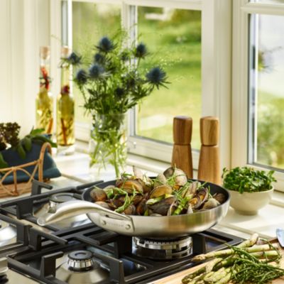 CS+ 11&amp;quot; Frypan