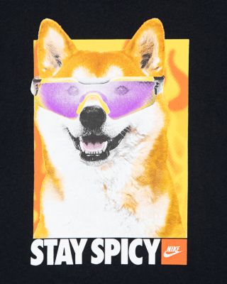 Boys' Stay Spicy Tee - Little Kid