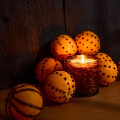 Spiced Pomander Signature Candle, 15.5 oz.