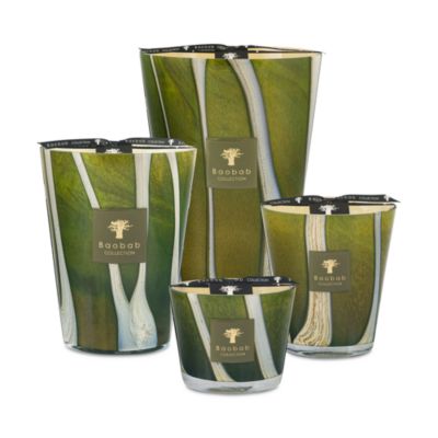 Baobab Woods Sherwood Scent Collection