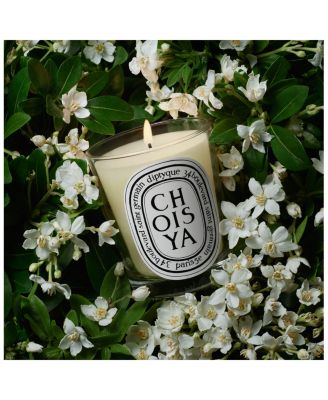 Choisya (Orange Blossom) Scented Candle 6.7 oz.