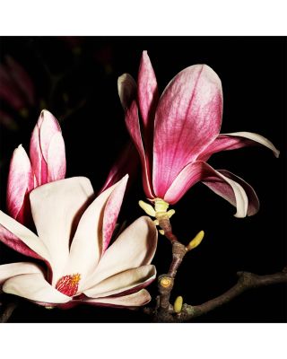 Le Vestiaire des Parfums Jumpsuit Eau de Parfum 4.2 oz.