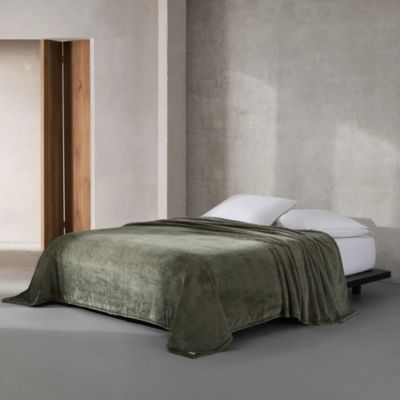 Core Plush Solid Bed Blanket, Queen