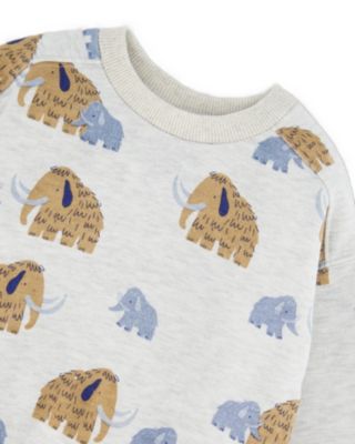 Boys' Long Sleeve Crew Neck Fleece Sweatshirt - Little Kid, Big Kid