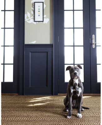 Dash  Albert by Annie Selke Wave RDA433 Area Rug, 5'0"x8'0"