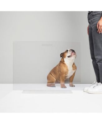 Low Clear Pet Gate Panel