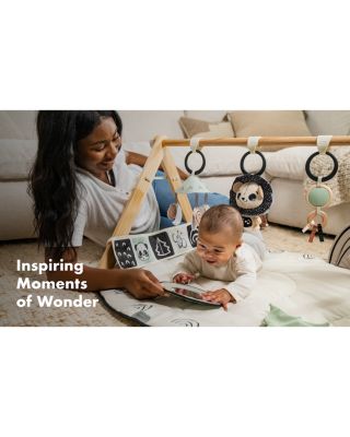 D&eacute;cor Luxe Developmental Gymini