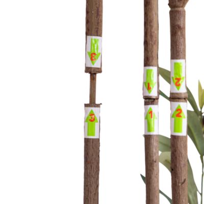 6&#39; Artificial Minimalist Olive Tree