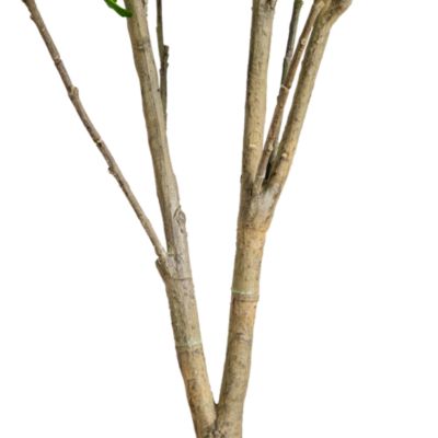 7&#39; Artificial Dogwood Tree