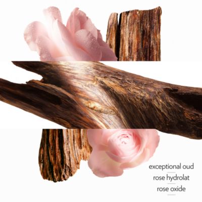 Oud Alezan Perfumed Body Cream 6.5 oz.