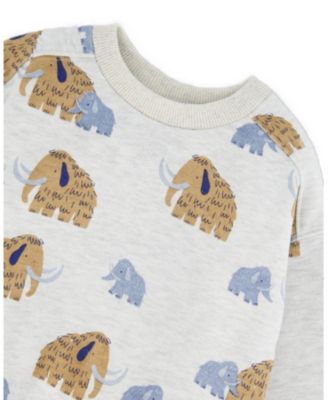 Boys' Long Sleeve Crew Neck Fleece Sweatshirt - Baby