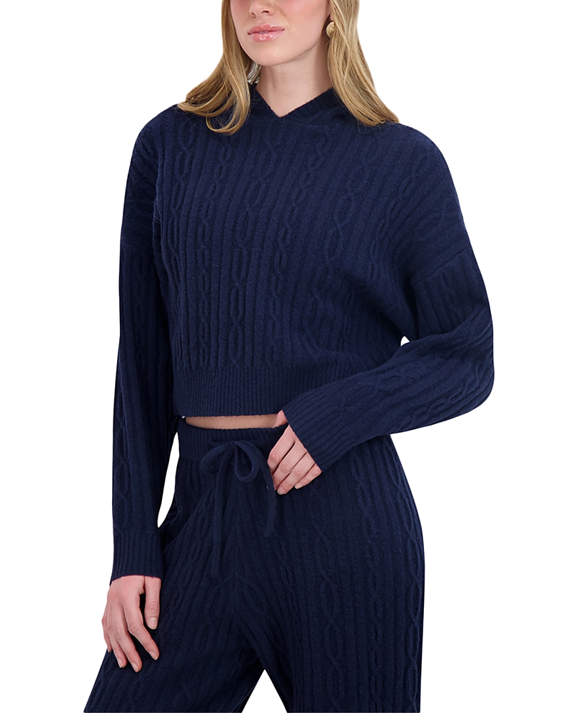 Point Brushed Cable Knit Hoodie In Blue