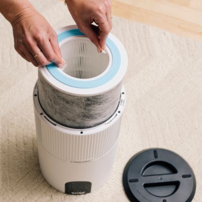 Air Purifier with True HEPA