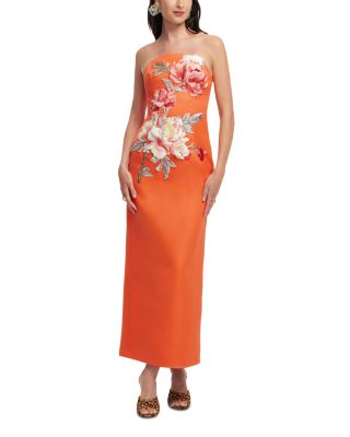 Ava Appliqu&amp;eacute; Floral Bustier Maxi Dress