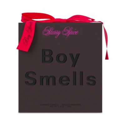 Starry Spice Standard Candle 8.5 oz.