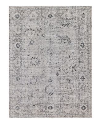 Exquisite Rugs Cambridge 4966 Area Rug 4'X6'