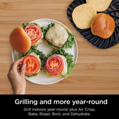 Foodi 6-in-1 Indoor Grill &amp; 4 Quart Air Fryer