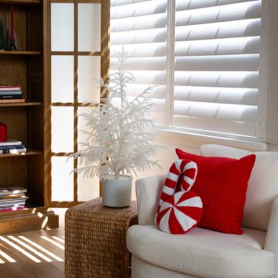 Natural Artificial Real Touch White Norfolk Island Pine 3' Christmas Tree with Natural Look