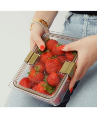  The Luncher + Container