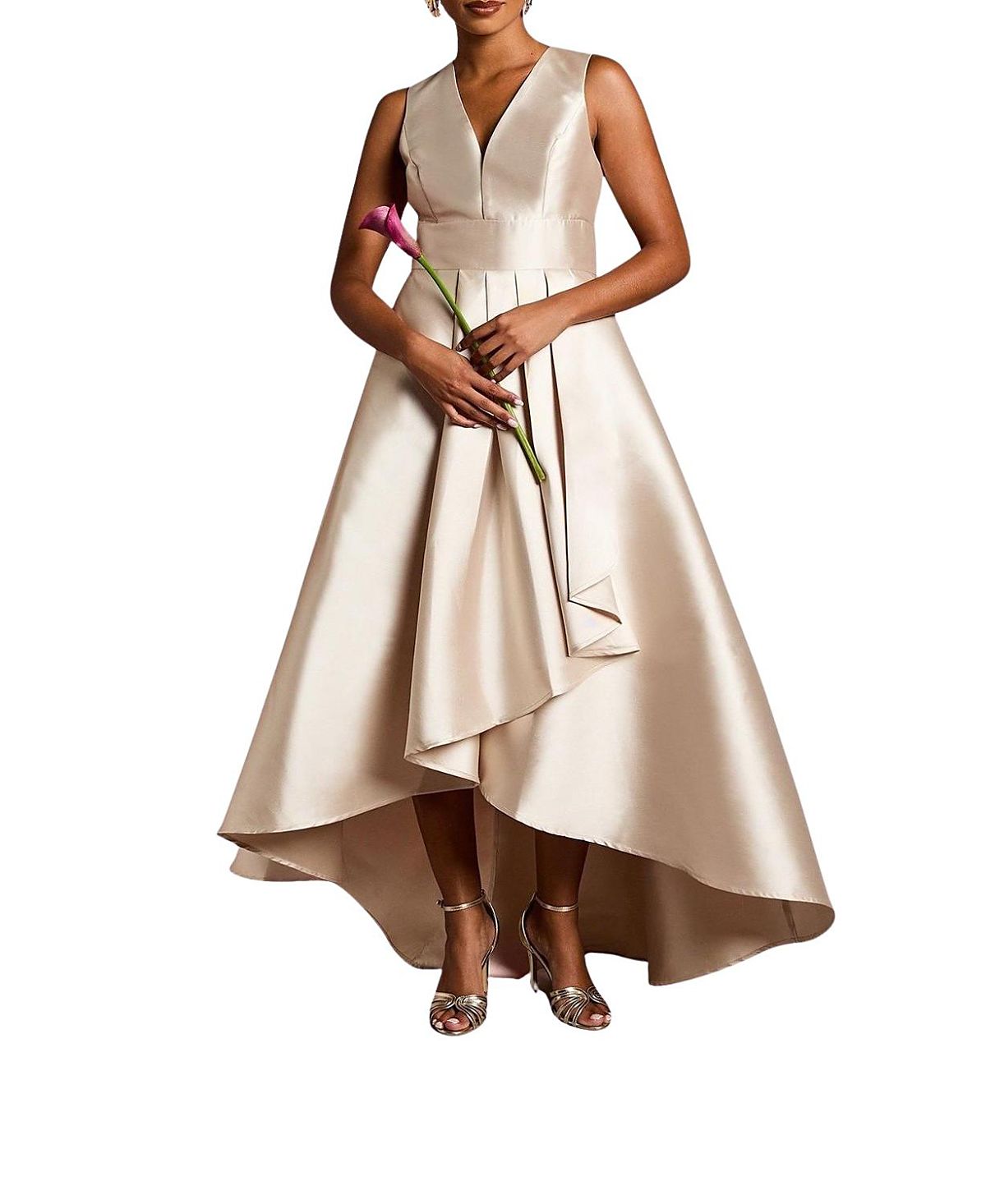 Coast Sleeveless Plunge Waterfall Maxi Dress