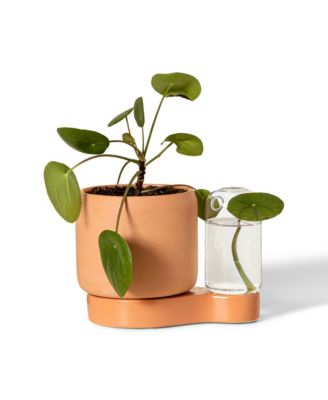  Self-Watering Planter & Propagation Station by Greenfinity