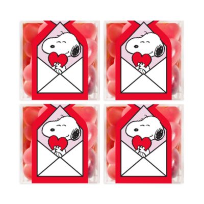 Snoopy Strawberry Hearts 4 Piece Kit 
