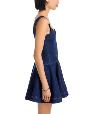 Eleodra Denim Mini Dress