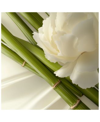 Shampooing Cr&egrave;me Moelle de Bambou Nourishing Shampoo for Long and Dry Hair 7 oz.