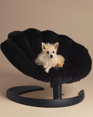 Shell Pet Bed and Swaying Lounger