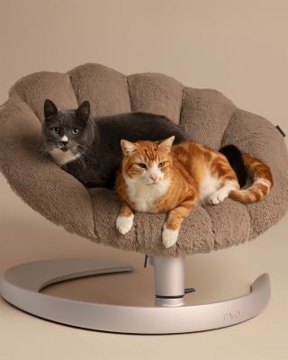 Shell Pet Bed and Swaying Lounger