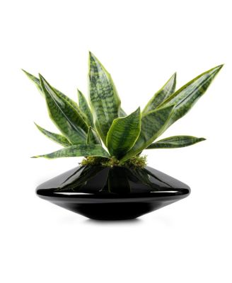 Tropical Tapered in Round Glass Vase Arrangement