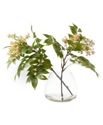  Baby Bloom in Glass Vase