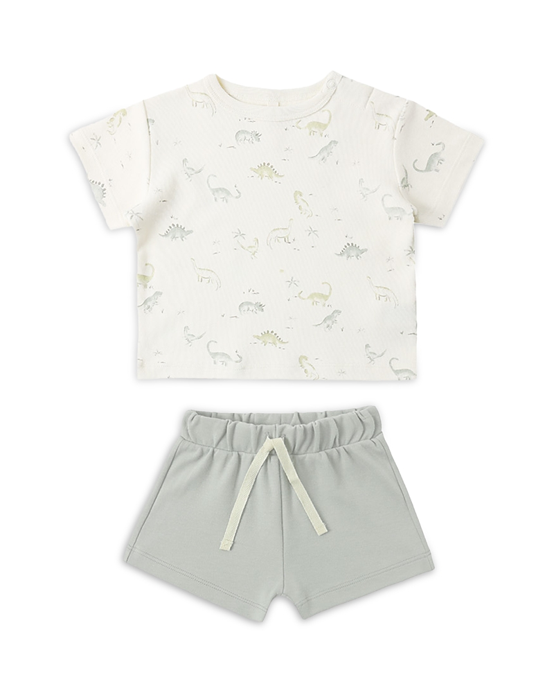 Quincy Mae Boys' Boxy Dinosaur Print Tee & Shorts Set - Baby