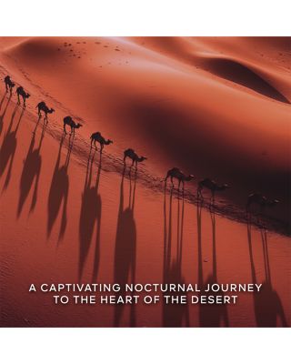 Absolus Allegoria Tabac Sahara Eau de Parfum 4.2 oz.