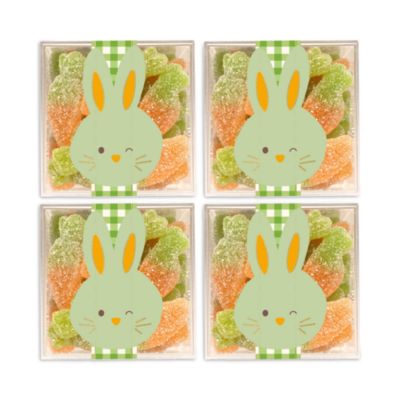 Green Bunny Baby Carrots Candy 4 Piece Cube Kit