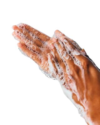 Wild Garden Hand Wash 10.1 oz.