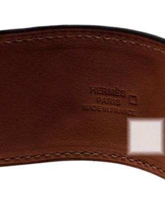 Collier de Chien Bracelet Alligator