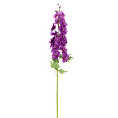 Delphinium Stem, Set of 12