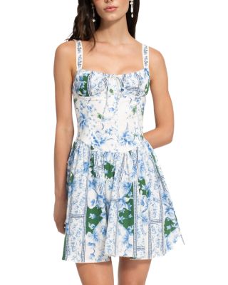 Spring Ivy Mini Dress