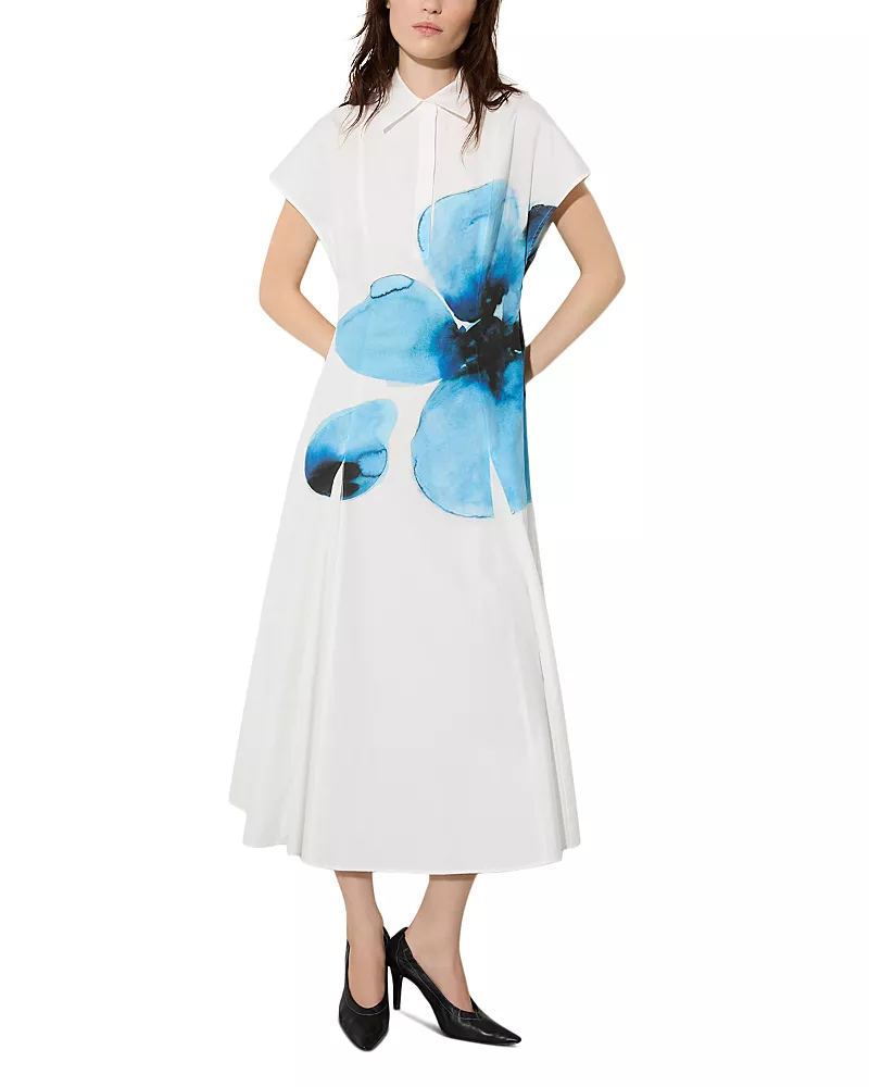 Max & Co. Mcogiorno Shirt Dress