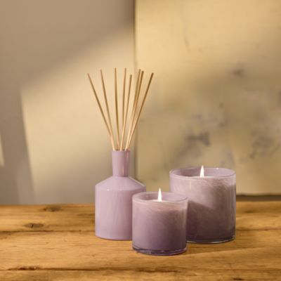 Midnight Cactus Classic Reed Diffuser, 6 oz. 