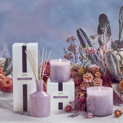 Midnight Cactus Classic Candle, 6.5 oz. 