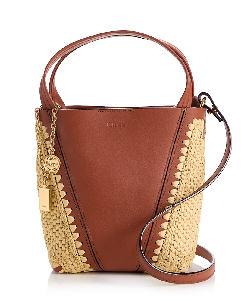 Chloe Small Crossbody Tote