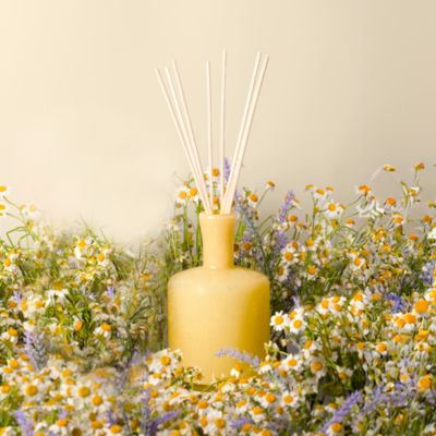 Chamomile Lavender Signature Reed Diffuser, 15 oz.