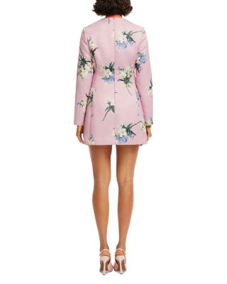 Aliza Long Sleeve Mini Dress