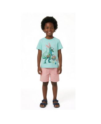 Boys' Easter Dino Graphic Tee - Little Kid