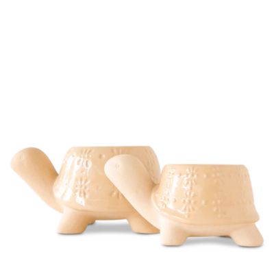 Turtle Planter Bundle