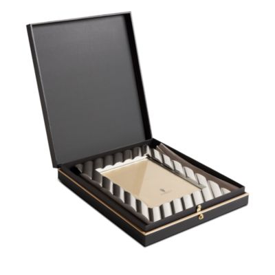 Maxime Frame - Platinum, 5" x 7"