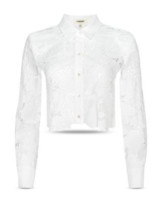 Seychelle Cropped Button Down Blouse