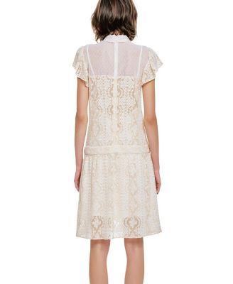 Victorian Lace Combo Drop Waist Dress